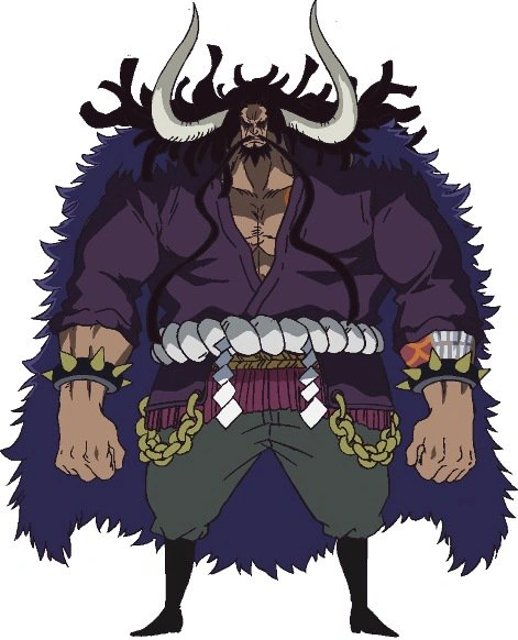 img-kaido